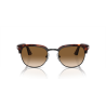Persol PO3105S 24/33 51